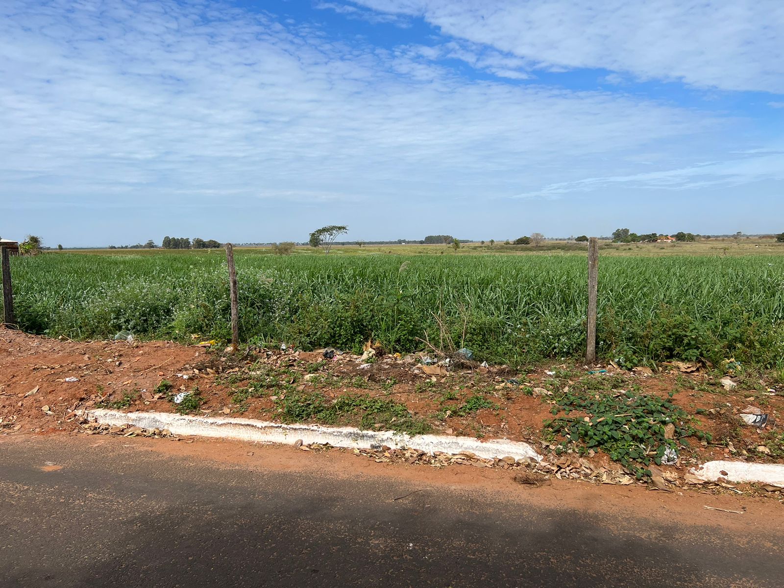 Local onde foi encontrado celular e bicicleta da jovem - Foto: Jornal da Nova